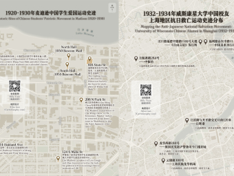 Thumbnail for Chinese Badger Wwii