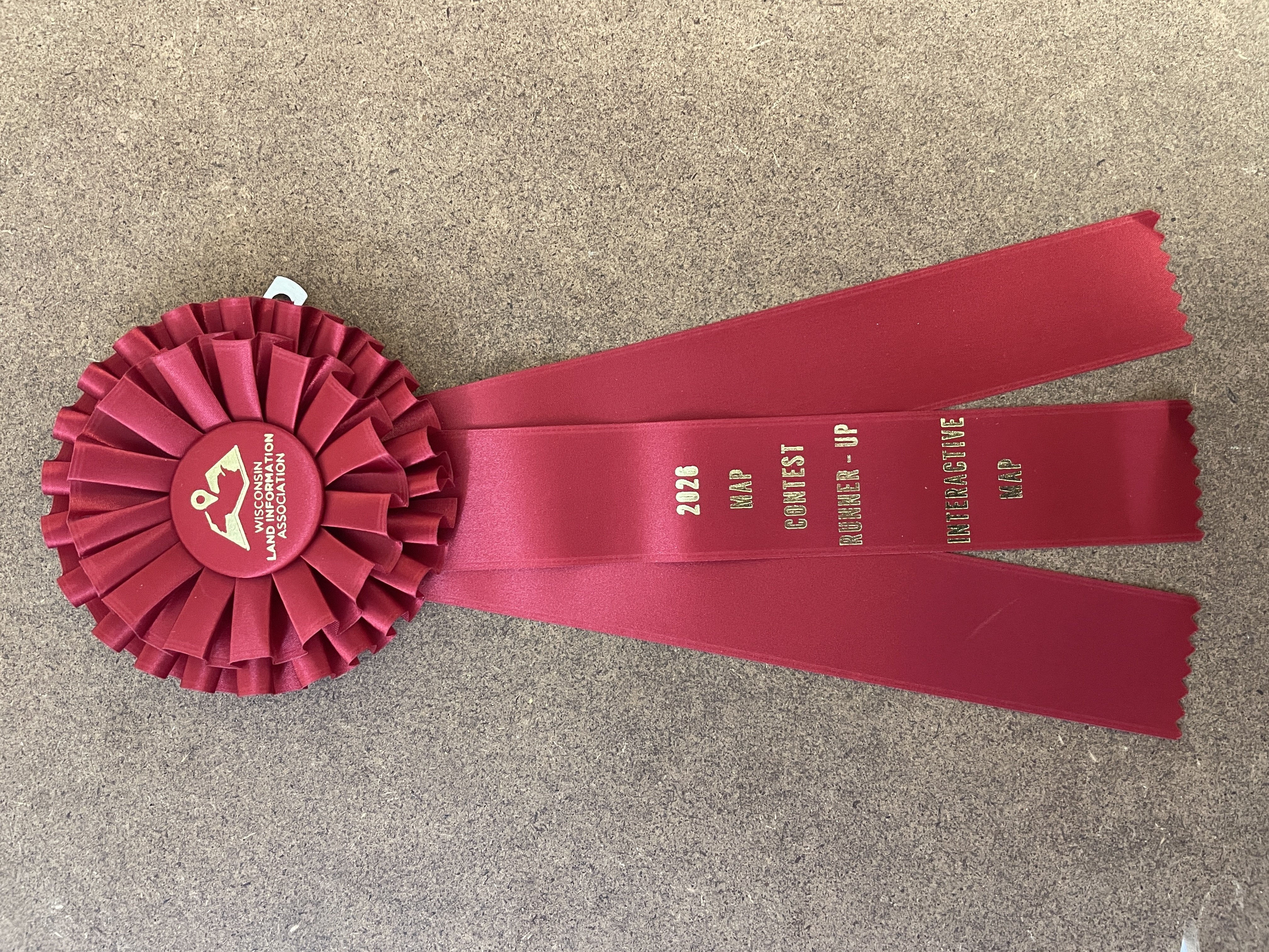 Climate Visualized WLIA Award