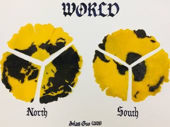 Thumbnail for Ginkgo Hemispheres